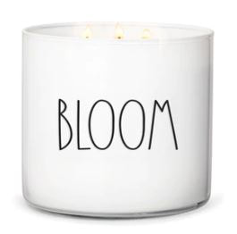 Blooms / Bloom Modern Farmhouse Collection