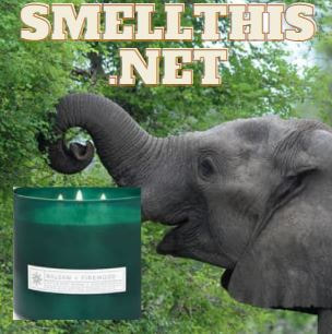 Smellthis.net elephant smelling a candle logo